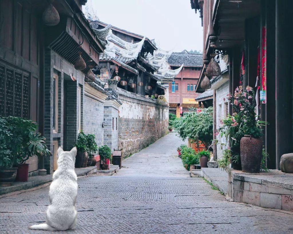 北京天黑时间-有问必答平台,随时为您解答问题
